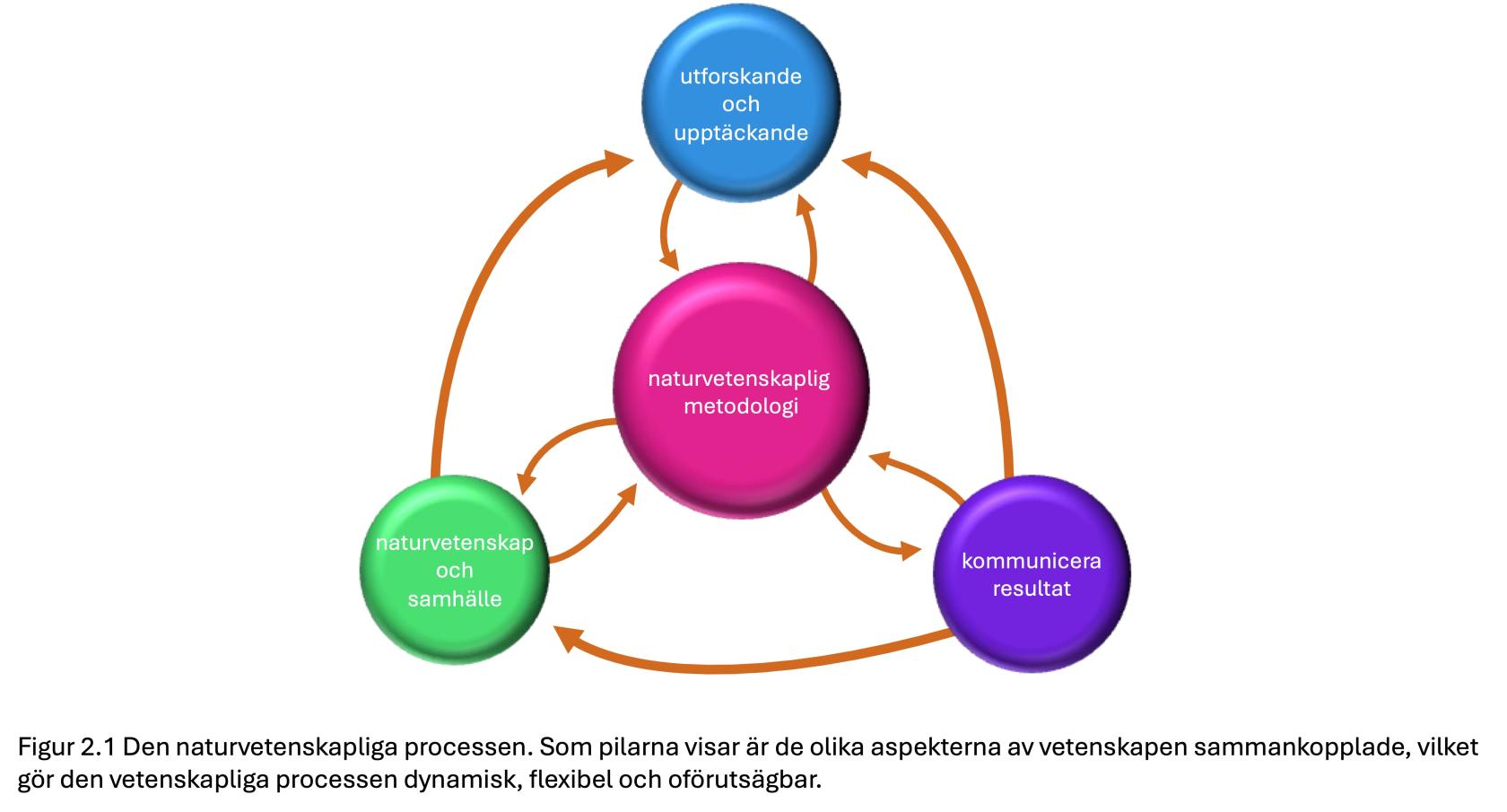 naturvetenskapligaprocess.jpeg